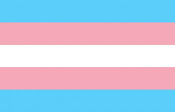 The transgender pride flag - pale blue, pink and white stripes
