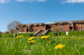 The library pictured with dandelions in the the foreground