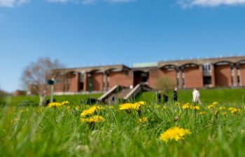 The library pictured with dandelions in the the foreground