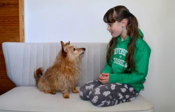 A dog looks attentively at a young girl
