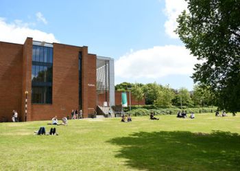 Campus building in sunshine with grass and trees