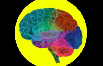 Logo reading 'Neurodiversity Staff Network' with bright image of multi coloured brain