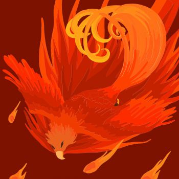 Image of a red phoenix bird illustration