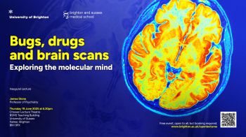 A photo of a brain scan on a blue background with the text: Bugs, drugs and brain scans: Exploring the molecular mind