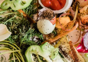 A selection of what can go into food waste, including egg shells and vegetable peelings