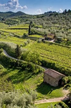 Catalonia is building a vison for a resilient landscape: Agroforestry