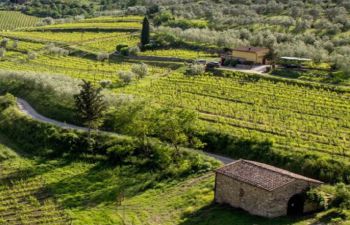Catalonia is building a vison for a resilient landscape: Agroforestry