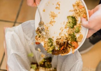 Food waste being scraped into the bin