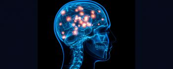 A silhouette of a head with a brain inside it