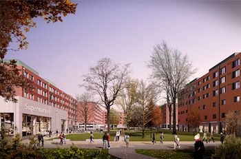 An artist's impression of the West Slope development showing new buildings and Sussex Lawns, a green area at the heart of Campus