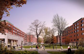 An artist's impression of the West Slope development showing new buildings and Sussex Lawns, a green area at the heart of Campus
