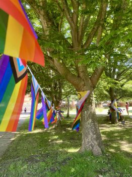 LGBTQ+ pride flags stretched out on bunting between trees.