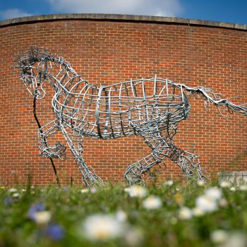 A photo of Prissy the Cob horse Sculpture