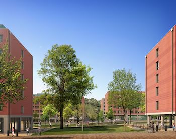 Health and Wellbeing Centre (left) and student residence (right) with a large green space with trees in between
