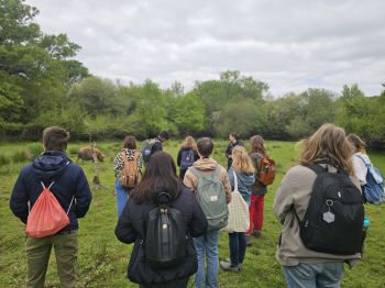 A group of students, led by their guide, watch a Tamworth Pig as it grazes just a few metres away within a tree lined field.