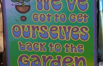 Sign with an image of an unpotted plant and a quote from a Joni Mitchell song reading 