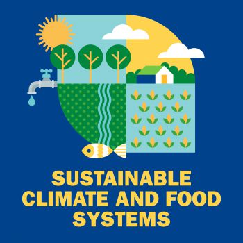 An illustrated graphic visualising research in SSRP's 'Sustainable Climate and Food Systems' theme