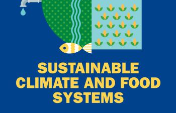 An illustrated graphic visualising research in SSRP's 'Sustainable Climate and Food Systems' theme