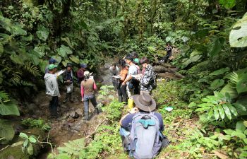 Paraecologists at work in Intag, Ecuador