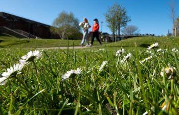 Students on campus at the University of Sussex
