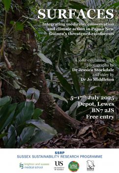 A poster advertising the SURFACES exhibition. The background image shows plants from the Papua New Guinea rainforest.