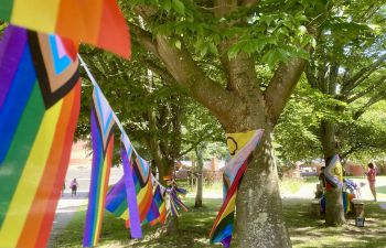Pride flags stretched out between trees