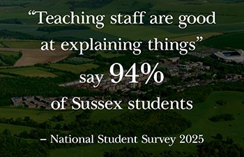 Graphic saying teaching staff are good at explaining things say 94% of Sussex students