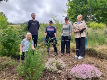 Picture of people standing in a community allotment
