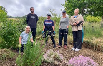 Picture of people standing in a community allotment