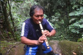 A Wampi playing an instrument