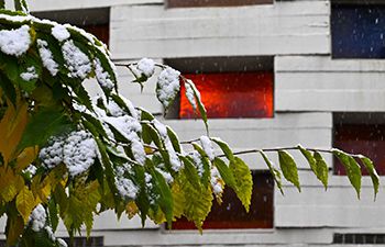 Snow on campus with Meeting House in background