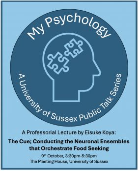 My Psychology Professorial Lecture