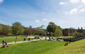 University of Sussex campus