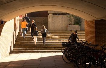 Students and staff walking up some stairs to the Pevensey Building