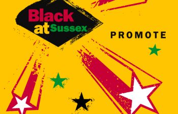 Black at Sussex objectives poster