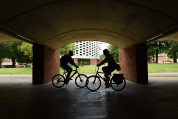 University of Sussex campus
