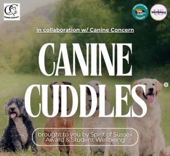 Canine cuddles, in collaboration with canine concern