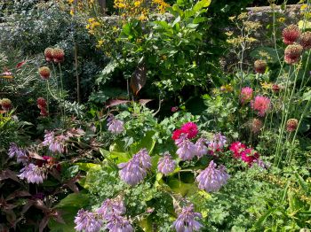 Photo of house and garden in Sussex in summer
