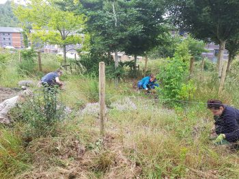 People working together, crouched down in the garden