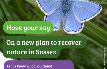 The text reads: 'Have your say on a new plan to recover nature in Sussex. Let us know what you think! Consultation closes 26th November 2025. Add your voice to the first Local Nature Recovery Strategies for Sussex. Find out more:SussexNatureRecovery.org.