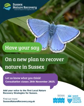 Poster for Sussex Nature Recovery showing a close-up of a blue butterfly on green grass. The text reads: 'Have your say on a new plan to recover nature in Sussex. Let us know what you think! Consultation closes 26th November 2025.