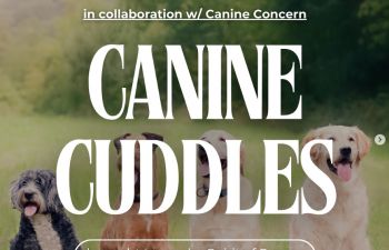Canine cuddles, in collaboration with canine concern