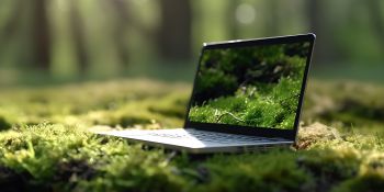 a laptop surrounded by green plants