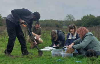 Group earthworm surveying