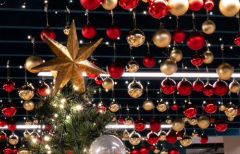 An image showing Eat Central eatery on the University of Sussex Campus, featuring Christmas decorations