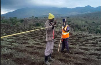 Implementing contour farming on the REAL NbS project experimental field in Tanzania