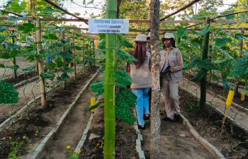 Two students managing plants at the Living Lab at Universitas Negeri Gorontalo, Indonesia
