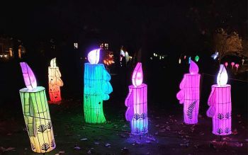 Candles in the Glimmer lantern parade