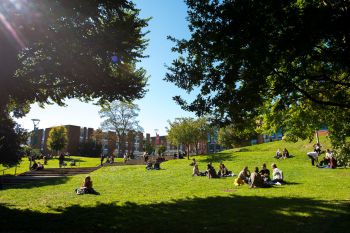 Groups of students sit on the grass on the campus of the University of Sussex