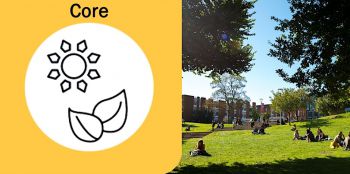 Apologies. Broadcast images pre 2021 do not have alt-text